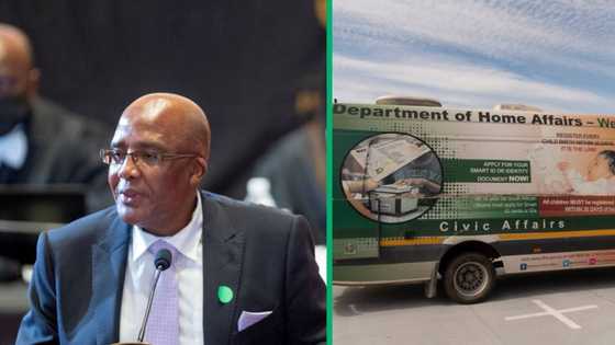 Home Affairs minister Aaron Mostoaledi bemoans 'nonexistent' spouses created for visas