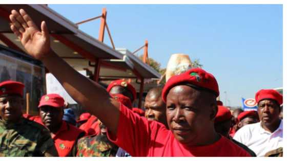 Economists say the EFF's election manifesto is impractical and populist