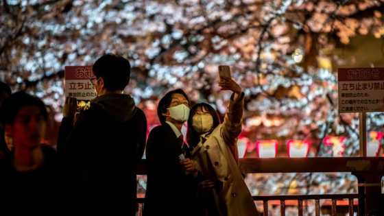 Japan inflation slows to 3.1% in February