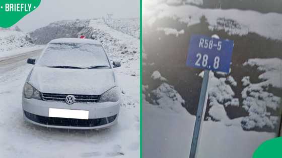 Eastern Cape snow leaves vehicles stranded on R58 as cold front sweeps across the province