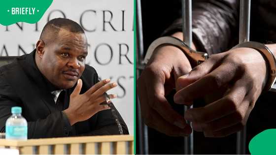 Sergeant Fannie Nkosi arrested, expected to appear in court on firearm charges