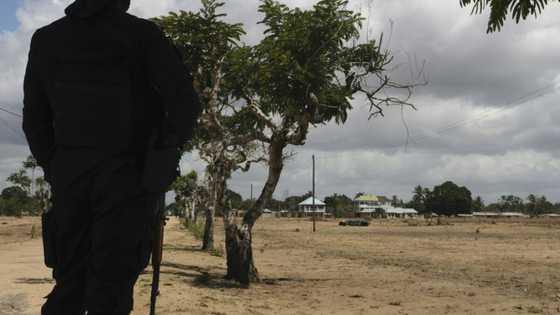 Life returns to Mozambique port city after bloody jihadist rule