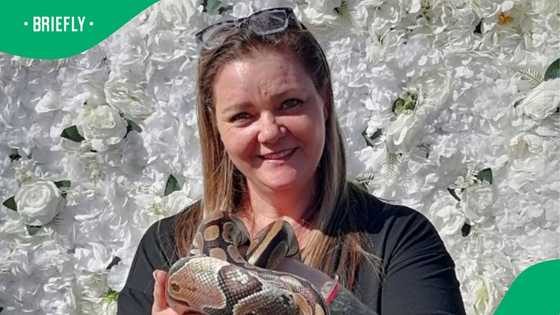 Female snake catcher makes biggest black mamba she's seen in video
