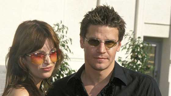 Who was Boreanaz's first wife, Ingrid Quinn Everything we know