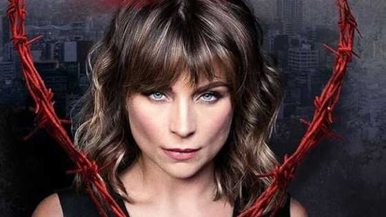 Prisoners of Love Telemundo season 1 and 2: cast, real names, pictures, full story