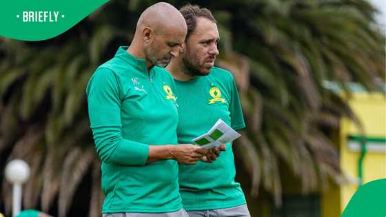 Sundowns maestro tipped for PSL glory by Miguel Cardoso