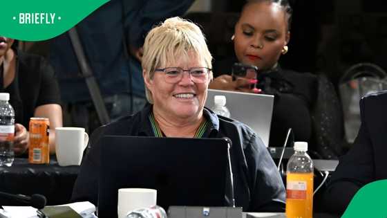 Glynnis Breytenbach opens up after DA appoints her the party's Parliamentary chief whip