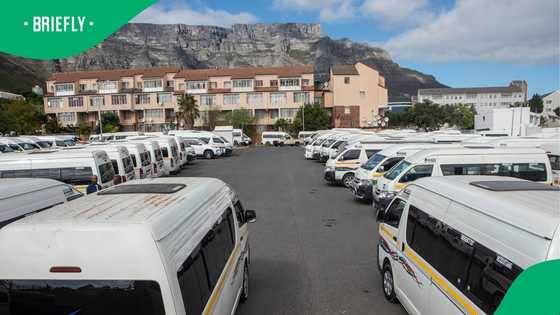 Western Cape taxi conflict escalates, former association secretary shot multiple times in his car