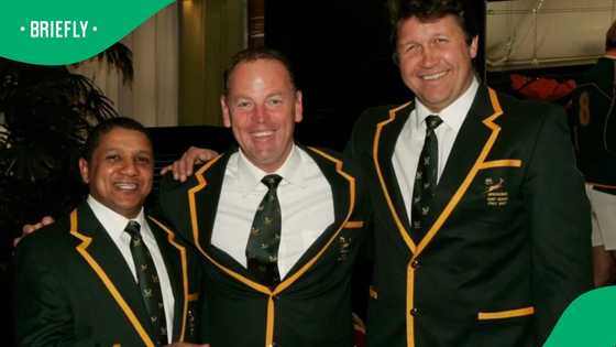 Jake White eyes trusted Springbok ally for Fiji coaching team