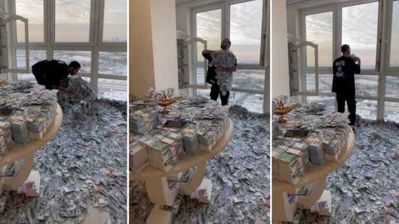 Dubai man in an apartment full of banknotes leaves netizens begging for money, TikTok video gets 20M views