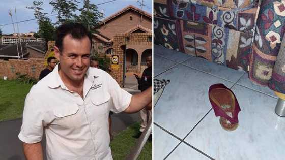 “What a relief!”: Nick Evans called out to catch snake only to find an old shoe, SA has a good laugh