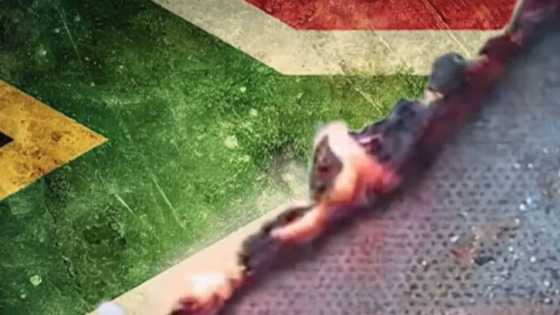 Zizi Kodwa slams the DA's controversial advert involving the burning of the national flag.