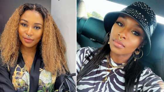 DJ Zinhle accused of being arrogant after her reaction to a complaint about her products: "Just apologise"