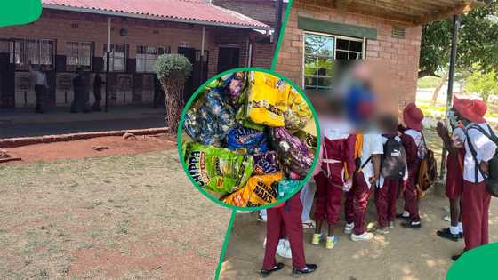 Gauteng education officials suspend selling of food at school tuckshops