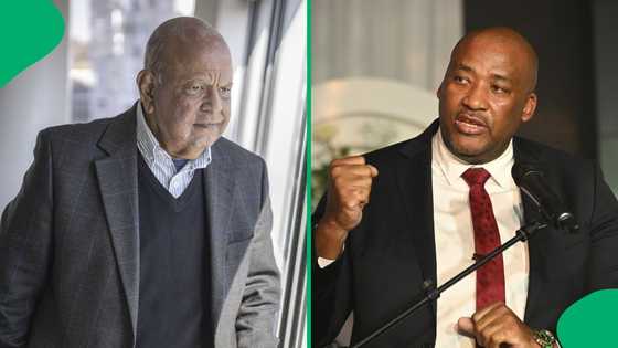 Gayton McKenzie recalls notable encounter with Pravin Gordhan: "I disagreed with him politically"