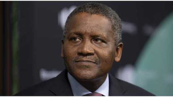 4 interesting new facts about Dangote as he leads Africa's richest list for the 11th year in a row