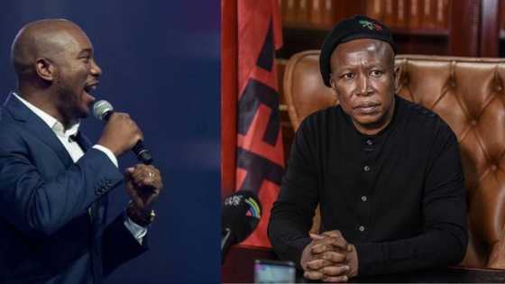 "Have courage": Julius Malema and Mmusi Maimane exchange virtual blows