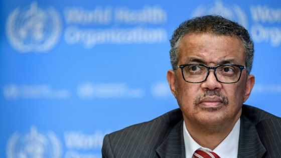 WHO to say if it will trigger highest alert on monkeypox