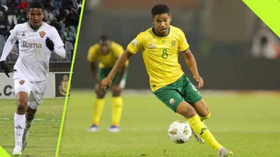 Kaizer Chiefs and Mamelodi Sundowns are set to rival each other for Stellenbosch star Jayden Adams