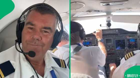 Massive lion’s private jet journey leaves the internet amazed and joking about the flight