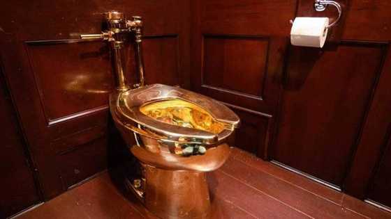 Golden toilet worth R86 million still missing two years after it was stolen