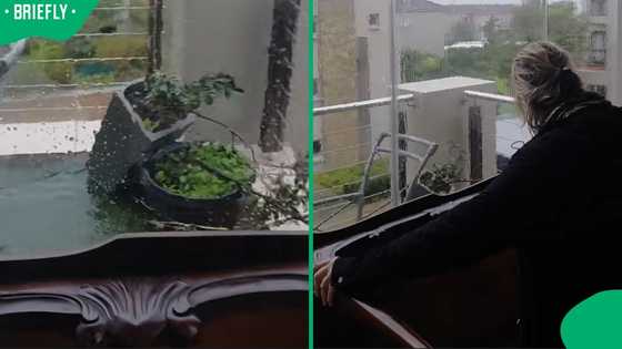 "This is not normal weather": Plettenberg Bay woman shows TikTok video of storm damage at her home
