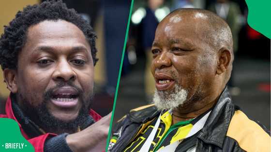 Mbuyiseni Ndlozi praises acting police minister Gwede Mantashe, sparks debate