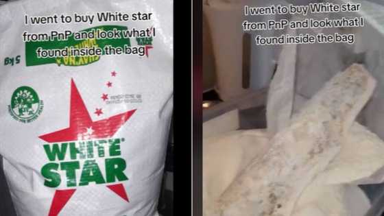 TikTok video of White Star maize bought at PnP shows it has mouldy mass, Pioneer Foods product has woman regretting bulk buying