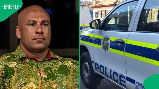 SAPS employee under scrutiny after Stuart Scharnick's criminal records were deleted from system