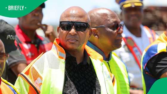 PA deputy president Kenny Kunene causes uproar after video of him apprehending suspect goes viral