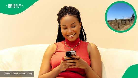 "Great description": Afrikaans woman explaining her reaction upon seeing Cape cobra has SA amused