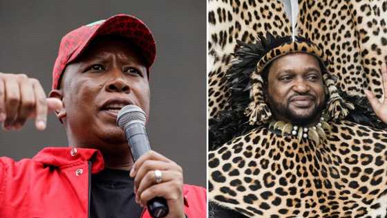 King Misuzulu: Julius Malema says the ANC almost ruined a "historic event" with bad sound & stage setting