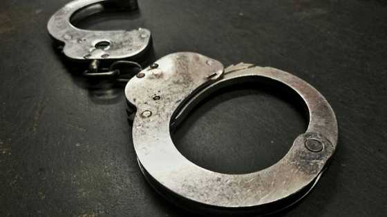 Joburg schoolgirl's kidnapper found in Mozambique, 11 year old girl to receive counselling after abduction