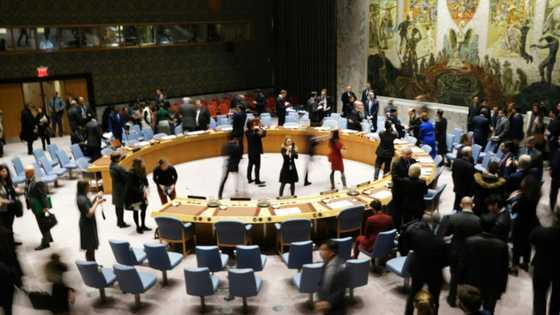 Russia on Friday vetoed a UN Security Council resolution that would have extended cross-border aid to Syria by one year without Damascus's backing.