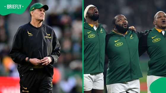 Springboks suffer major injury blow on the eve of crucial Argentina showdown