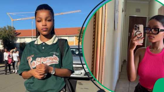 "Dangerous, that thing": SA floored by lady losing chicken fight after stealing chick