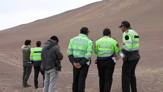 Tourists trample all over protected, prehistoric Peruvian hill carving