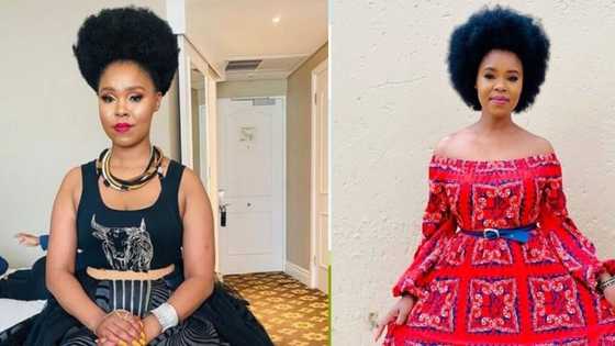 Zahara cancels gigs because of ill health, Mzansi wishes singer a speedy recovery: "Health is a priority"