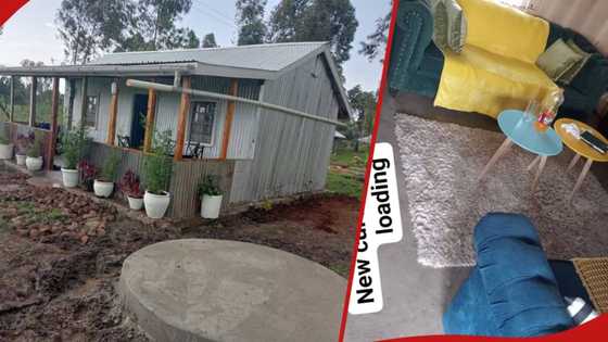 Woman’s lavishly furnished corrugated iron house impresses netizens: "Priceless"