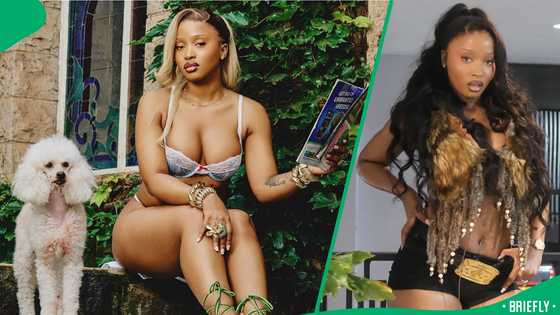 Uncle Waffles lookalike stuns Mzansi: Fans question if it's really her