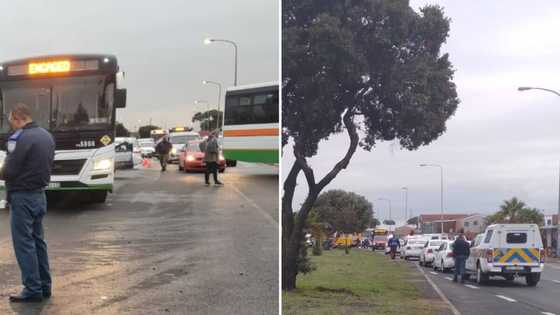 5 School pupils travelling to school in a bakkie die in car crash, Mzansi outraged: “Sad and unnecessary”