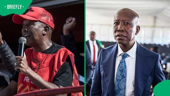 EFF supporter gogo encourages Julius Malema in viral video ahead of pre-sentencing
