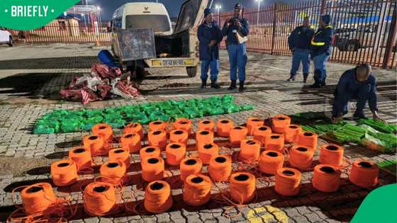Limpopo SAPS arrests 2 foreign nationals with explosives worth R2.5 million, South Africans react
