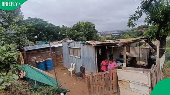 “He was just a child”:12-year-old allegedly takes his own life in Durban