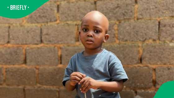 Body of missing 3-year-old found in Roodepoort dam