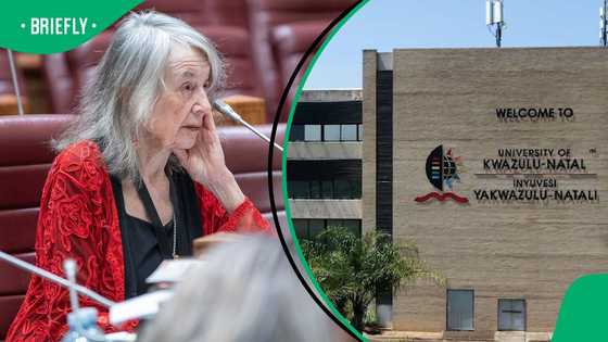 UKZN distances itself from Mary de Haas following appearance before Parliament's Ad Hoc Committee