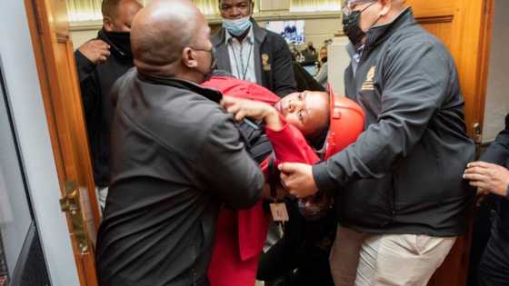 EFF members kicked out of Parliament for disrupting President Cyril Ramaphosa's budget vote response