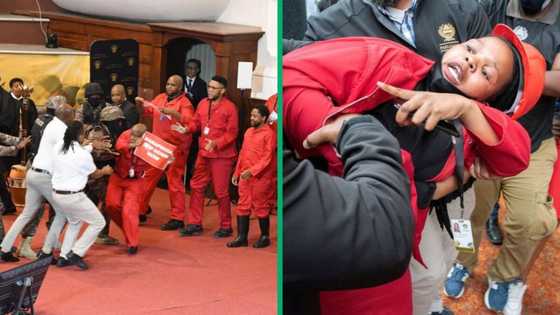 Parliamentary Committee recommends EFF MPs should be hit with severe penalties