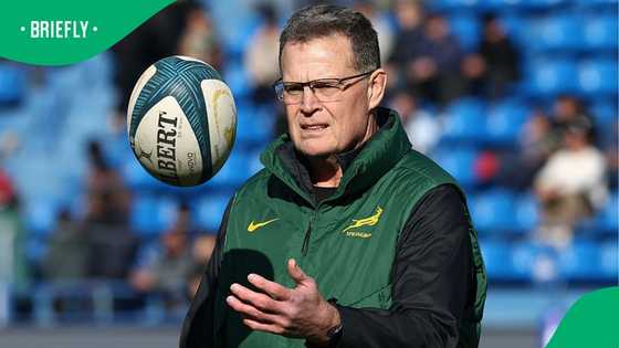 Rassie Erasmus explains why Springboks are delaying All Blacks squad announcement