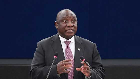 SA calls out Ramaphosa for wasting taxpayers' money with plan to send ministers to G7 countries